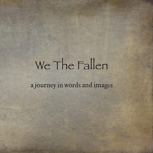 We The Fallen A Journey in Words and Images