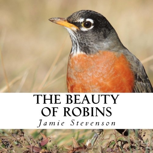 The Beauty of Robins A Text-Free Book for Seniors and Alzheimer's Patients