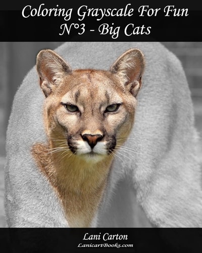 Coloring Grayscale For Fun - N°3 - Big Cats 25 Big Cats Grayscale Images to Color and Bring to Life