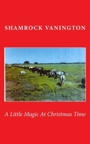 A Little Magic At Christmas Time