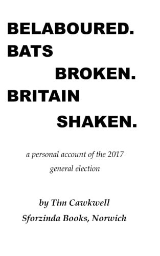 Belaboured. Bats Broken. Britain Shaken. A Personal Account of the 2017 General Election
