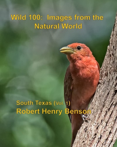 Wild 100: Images from the Natural World South Texas (vol. 1)