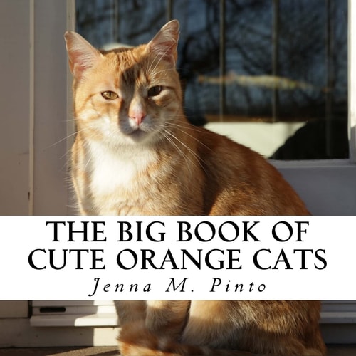 The Big Book of Cute Orange Cats A Text-Free Book for Seniors and Alzheimer's Patients