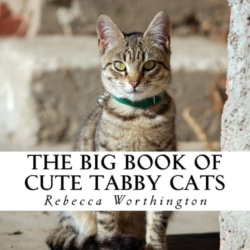 The Big Book of Cute Tabby Cats A Text-free Book for Seniors and Alzheimer's Patients