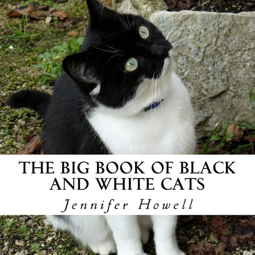 The Big Book of Black and White Cats A Text-Free Book for Seniors and Alzheimer's Patients