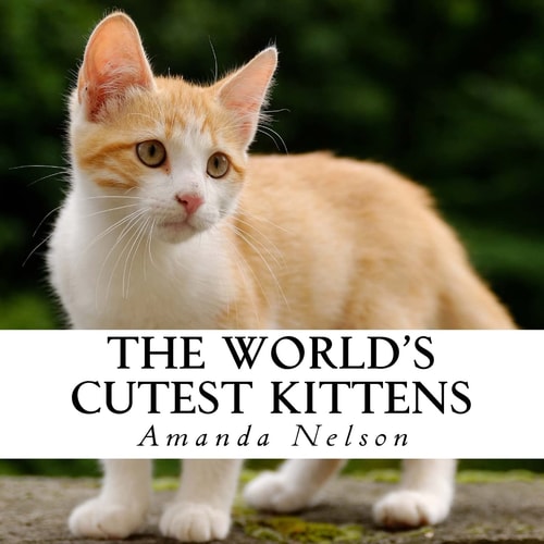 The World's Cutest Kittens A Text-Free Book for Seniors and Alzheimer's Patients