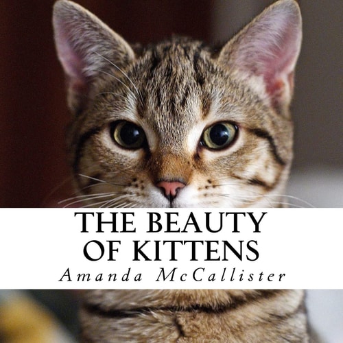The Beauty of Kittens A Text-Free Book for Seniors and Alzheimer's Patients