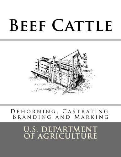 Beef Cattle Dehorning, Castrating, Branding and Marking