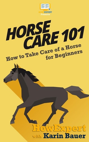 Horse Care 101 How to Take Care of a Horse for Beginners