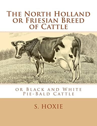 The North Holland Or Friesian Breed of Cattle Or Black and White Pie-Bald Cattle