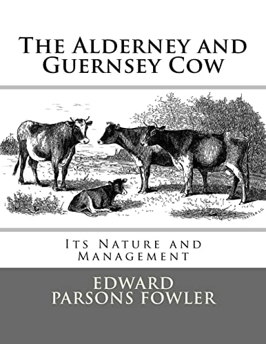 The Alderney and Guernsey Cow Its Nature and Management