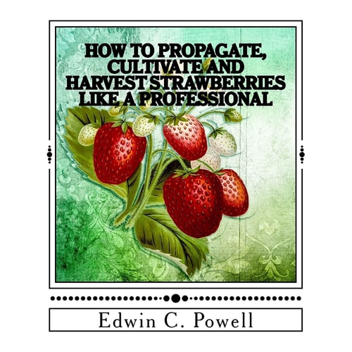 How to Propagate, Cultivate and Harvest Strawberries Like a Professional Expert Tips on All Aspects of Growing Strawberries