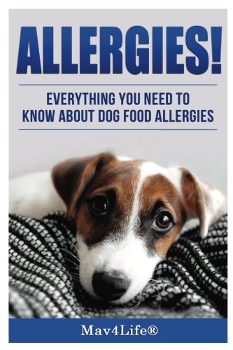 Allergies! Everything You Need to Know about Dog Food Allergies!