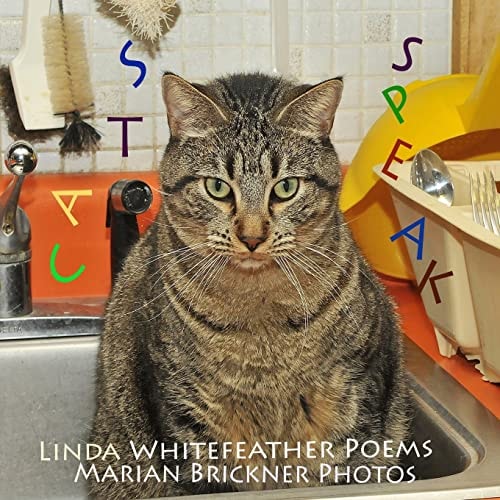 Cats Speak
