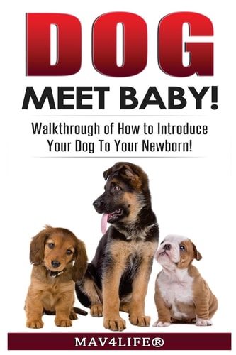 Dog Meet Baby! Walk-Through of How to Introduce Your Dog To Your Newborn!