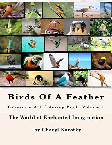 Birds Of A Feather Grayscale Art Coloring Book