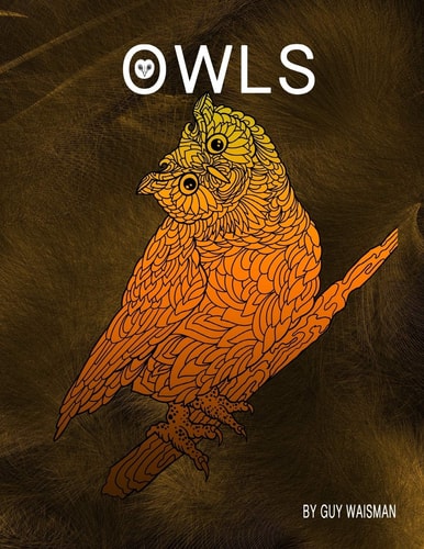 Owls Owls - This Book Is a Collection of 30 Unique Detailed Owl Designs. @guywaisman