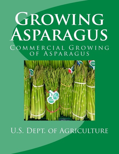 Growing Asparagus Commercial Growing of Asparagus