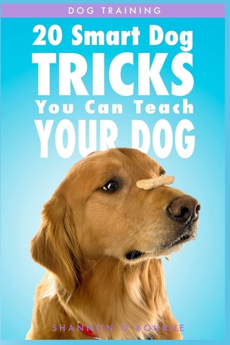 Dog Training: 20 Smart Dog Tricks You Can Teach Your Dog