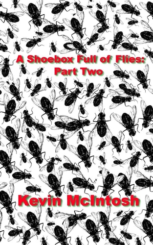 A Shoebox Full Of Flies Part Two