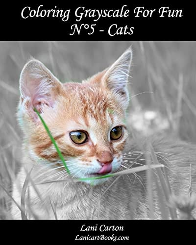 Coloring Grayscale For Fun - N°5 - Cats 25 Cats Grayscale Images to Color and Bring to Life