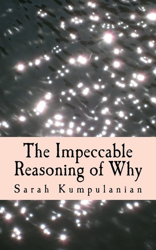 The Impeccable Reasoning of Why A Tale of Why Love Is