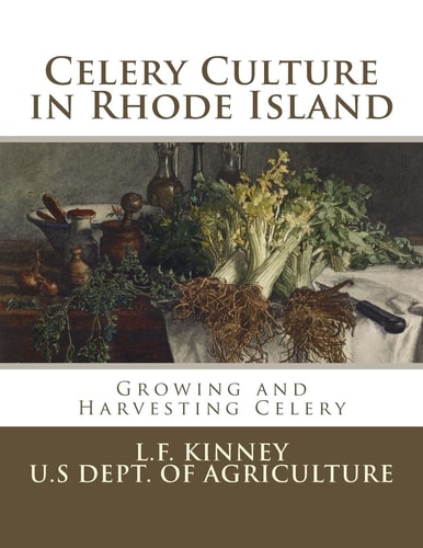 Celery Culture in Rhode Island Growing and Harvesting Celery