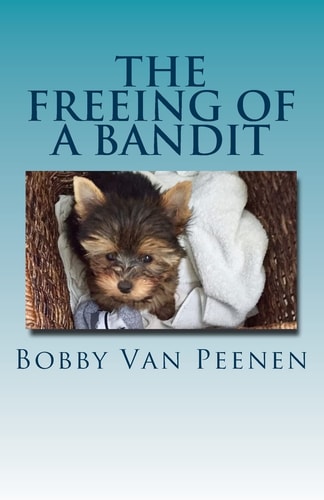 The Freeing of a Bandit