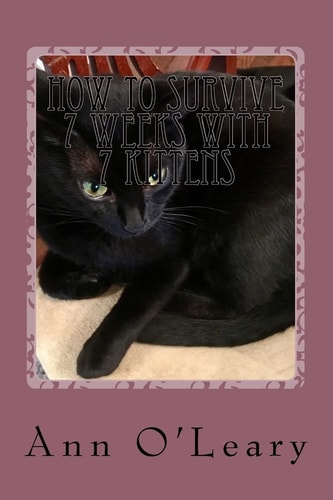 How to Survive 7 Weeks with 7 Kittens Blackie, Cutie's Kitty, Grows Up and Has Her Own Kitties