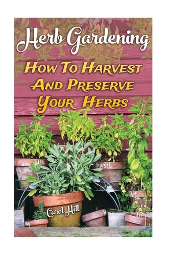 Herb Gardening How To Harvest And Preserve Your Herbs