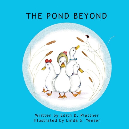 The Pond Beyond