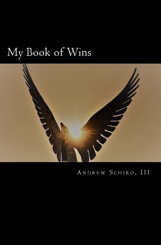 My Book of Wins Write Your Truth, One Sentence Per Day