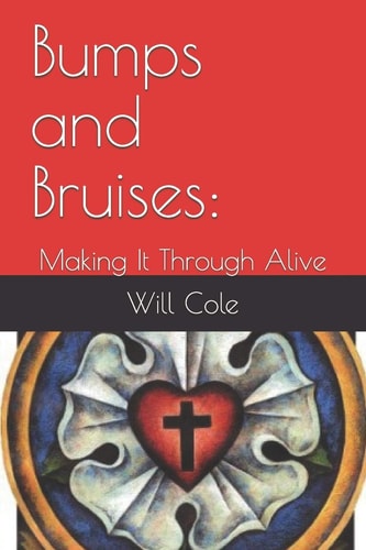 Bumps and Bruises : Making It Through Alive