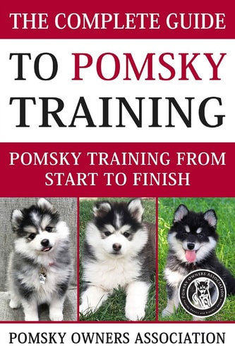 The Complete Guide to Pomsky Training Pomsky Training from Start to Finish