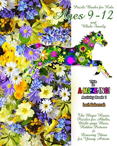Puzzle Books for Kids Ages 9-12 and Whole Family. Activity Book 1. the Magic House, Puzzles for Adults, Multi-Page Maze, Hidden Pictures and Drawing Ideas for Young Artists