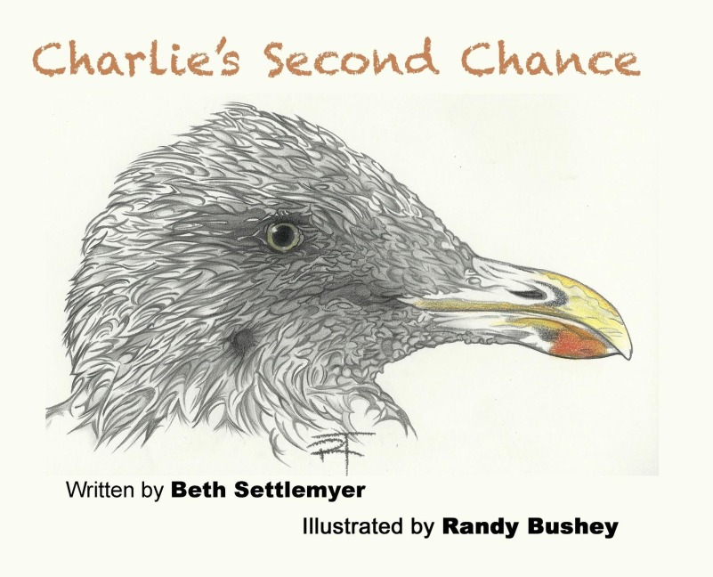 Charlies Second Chance