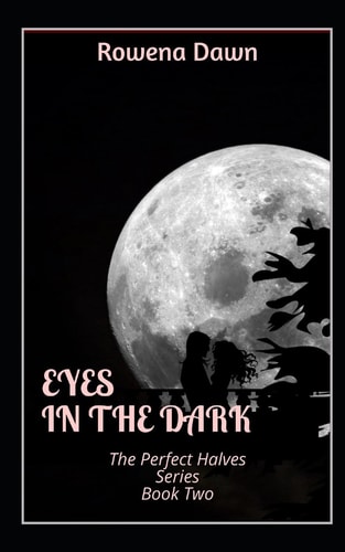 Eyes in the Dark The Perfect Halves Series Book Two
