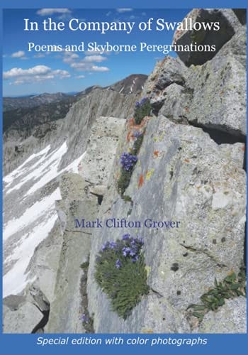 In the Company of Swallows Poems and Skyborne Peregrinations