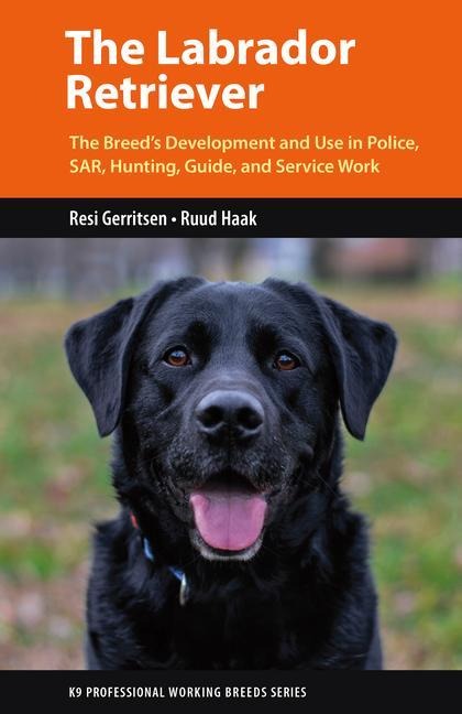 The Labrador Retriever: From Hunting Dog to One of the Worlds Most Versatile Working Dogs