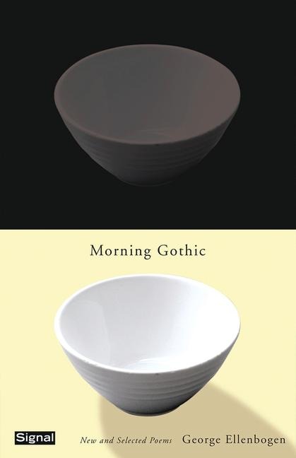 Morning Gothic: New and Selected Poems