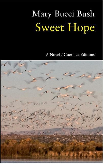 Sweet Hope: Volume 91