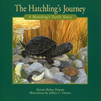 Hatchlings Journey