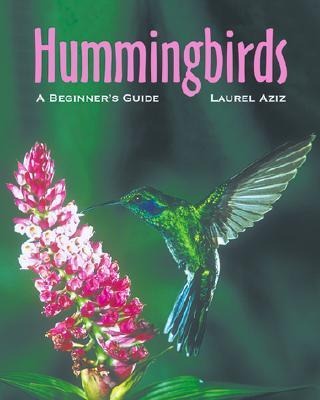 Hummingbirds: A Beginners Guide