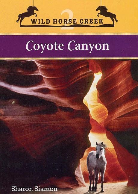 Coyote Canyon: Volume 2