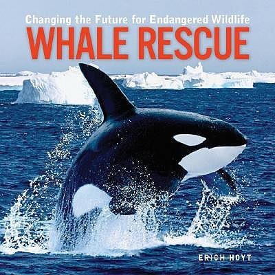 Whale Rescue: Changing the Future for Endangered Wildlife
