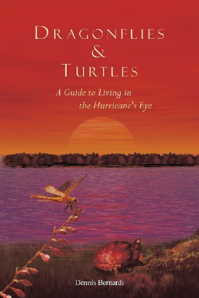 Dragonflies and Turtles: A Guide to Living in the Hurricanes Eye