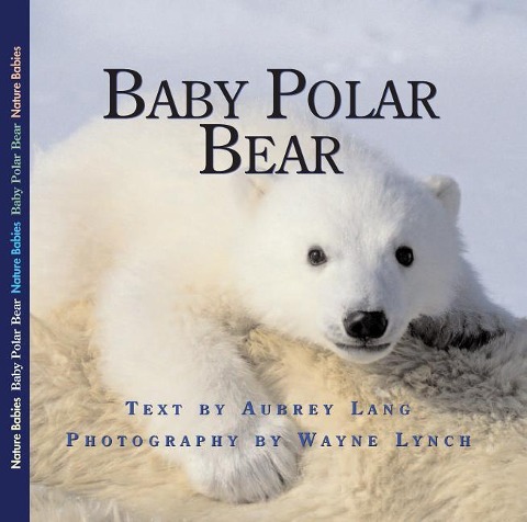 Baby Polar Bear: Volume 15