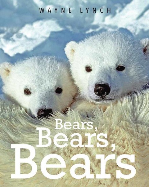 Bears Bears Bears for Kids