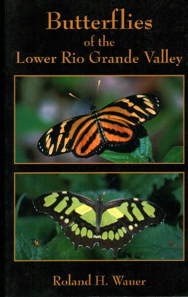 Butterflies of the Lower Rio Grande Valley