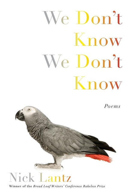 We Dont Know We Dont Know